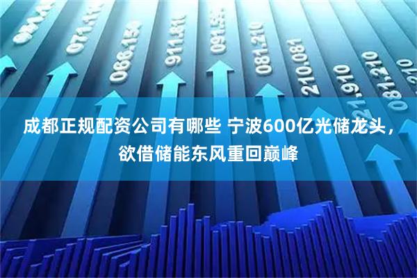 成都正规配资公司有哪些 宁波600亿光储龙头，欲借储能东风重回巅峰