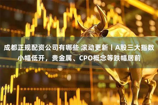 成都正规配资公司有哪些 滚动更新丨A股三大指数小幅低开，贵金属、CPO概念等跌幅居前