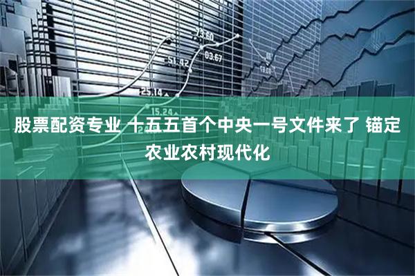 股票配资专业 十五五首个中央一号文件来了 锚定农业农村现代化