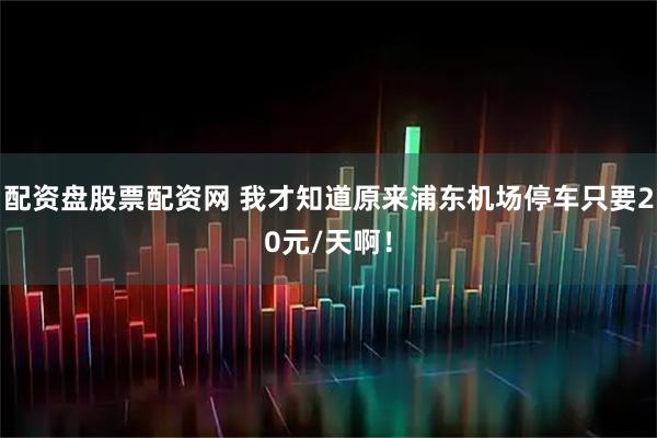 配资盘股票配资网 我才知道原来浦东机场停车只要20元/天啊！