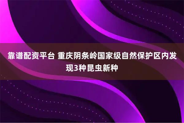 靠谱配资平台 重庆阴条岭国家级自然保护区内发现3种昆虫新种