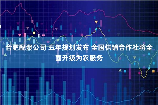 合肥配资公司 五年规划发布 全国供销合作社将全面升级为农服务