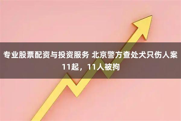 专业股票配资与投资服务 北京警方查处犬只伤人案11起，11人被拘